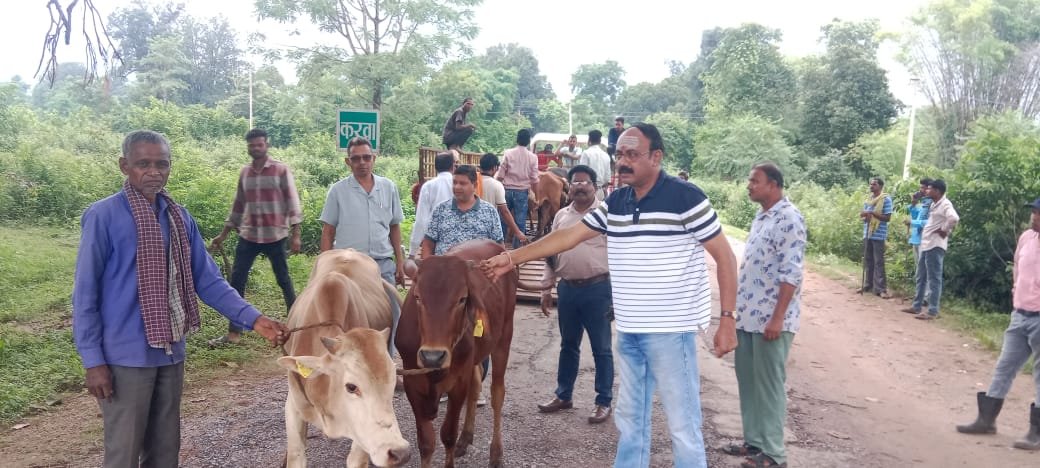 गरीब आदिवासियों को 15 जोड़ी बैल का निःशुल्क वितरण… निशुल्क जोड़ी पाकर बैगा आदिवासियों के चेहरे खिल उठे l