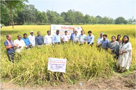 धान की किस्म विक्रम-टीसीआर पर प्रक्षेत्र दिवस का आयोजन
